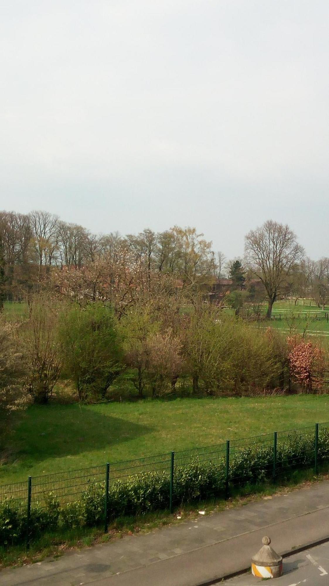 Mit Loggia Munster (North Rhine-Westphalia)