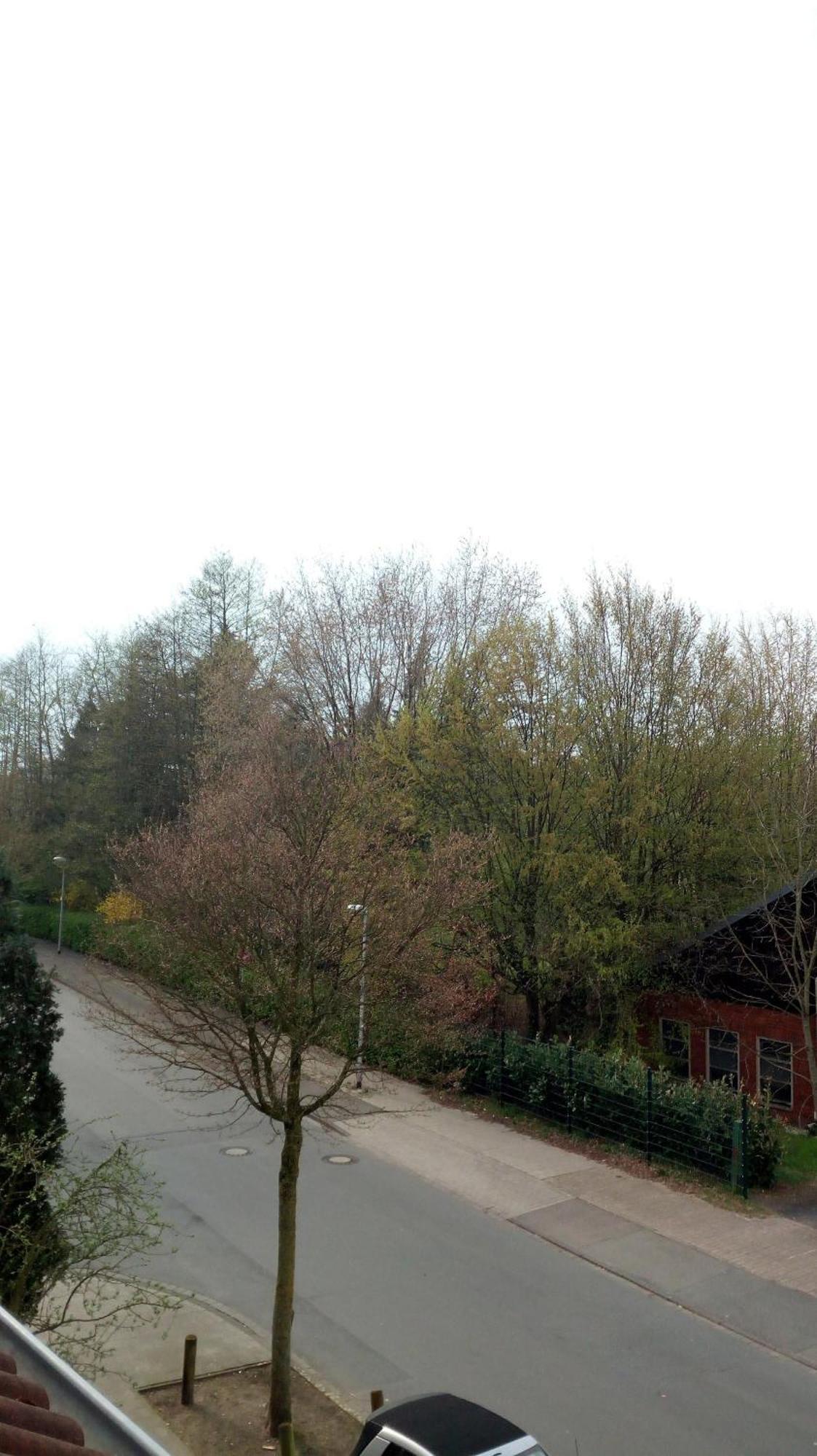 Mit Loggia * Munster (North Rhine-Westphalia)