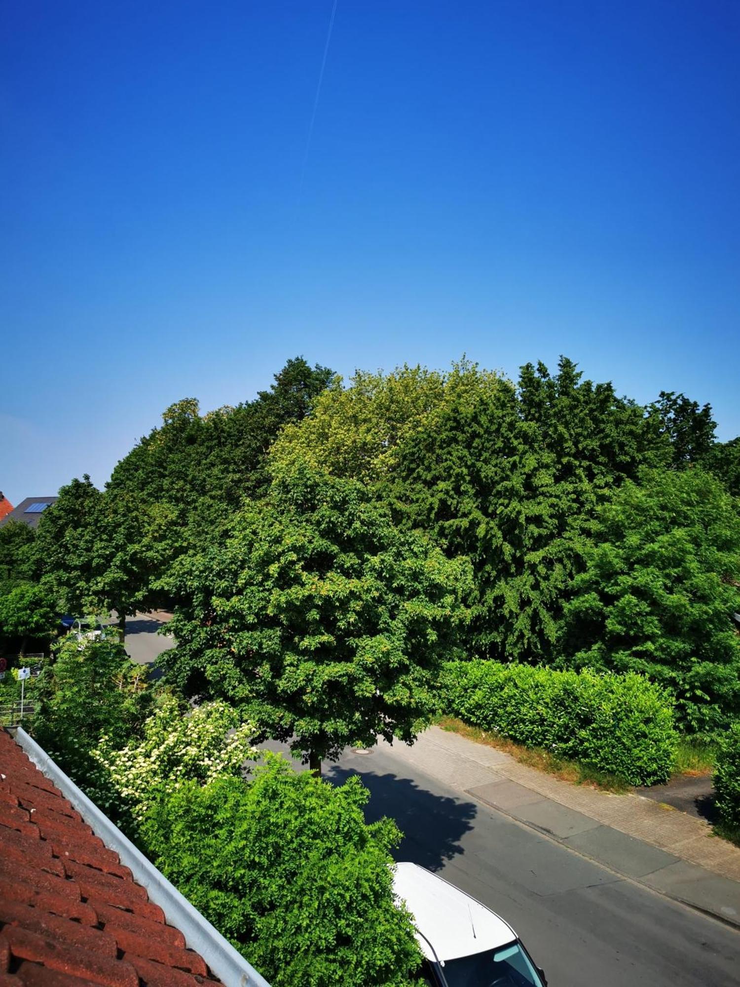 Mit Loggia Apartment *